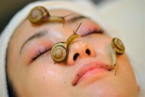 هلام الحلزون للوجه: فوائد سحرية لترطيب البشرة ومكافحة التجاعيد