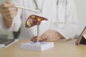 كيف يتخلص الكبد من الدهون وكم يستغرق الأمر