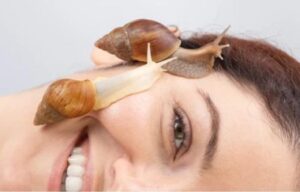 هلام الحلزون للوجه: فوائد سحرية لترطيب البشرة ومكافحة التجاعيد