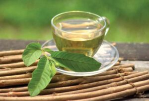 ورق الجوافة المغلي سر الصحة الطبيعية للمناعة والتخسيس