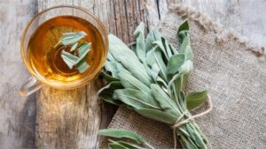 الميرمية تحارب الالتهابات: أهم 6 استخدامات طبيعية للجسم