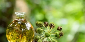 زيت الخروع السرّ الطبيعي لتغذية الشعر