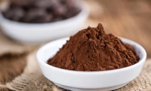 الكاكاو رحلة الطعم من غابات الأمازون إلى فوائد الصحة والمتعة