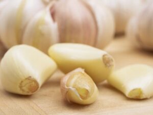الثوم كنز طبيعي من المضادات الحيوية