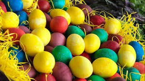 بيضة في اليوم: غذاء كامل يغير حياتك