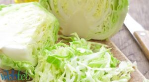 الملفوف للرشاقة: مزاياه لحرق دهون البطن بفعالية
