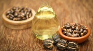 زيت الخروع السرّ الطبيعي لتغذية الشعر