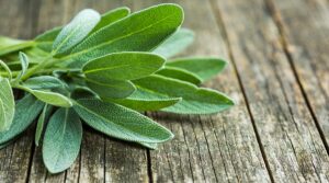 الميرمية تحارب الالتهابات: أهم 6 استخدامات طبيعية للجسم