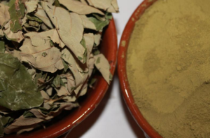 كيف يعمل السدر على زيادة كثافة الشعر