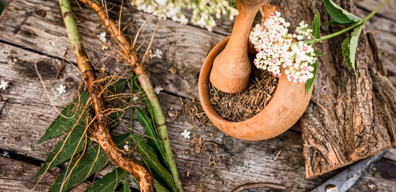 سر الشعر الكثيف الطبيعي: عشبة المشاط مقابل السدر ووصفات الدمج السحرية