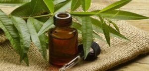 استخدامات زيت شجرة الشاي التي لا تعرفينها من قبل