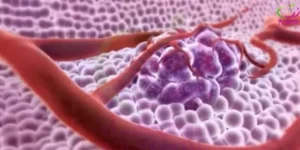 الكحول يدمّر دماغكِ في 6 أشهر: 7 أضرار تُصيب 90% من المدمنين