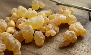 اللبان الذكر للنساء: 8 فوائد تجميلية + علاجية تُشفي الهرمونات والبشرة في أسبوع