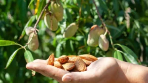 Almond treasure: a healthy heart + clear skin