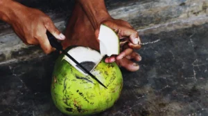 Coconuts: The Fruit Top Doctors Recommend Daily (Here's Why)