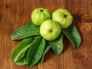 7 Guava Boil Recipes for Colon Health and Quick Weight Loss