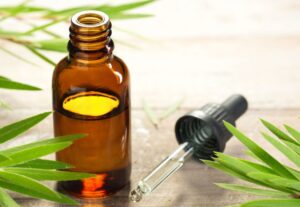 Uses of tea tree oil that you didn't know before